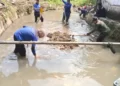Saluran Tersier Cabang Barat di Kelurahan Grogol Selesai Dinormalisasi